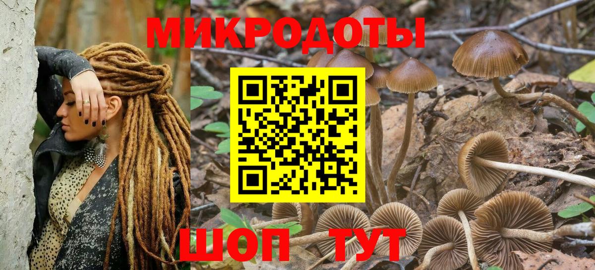 Псилоцибиновые грибы Cubensis Уварово