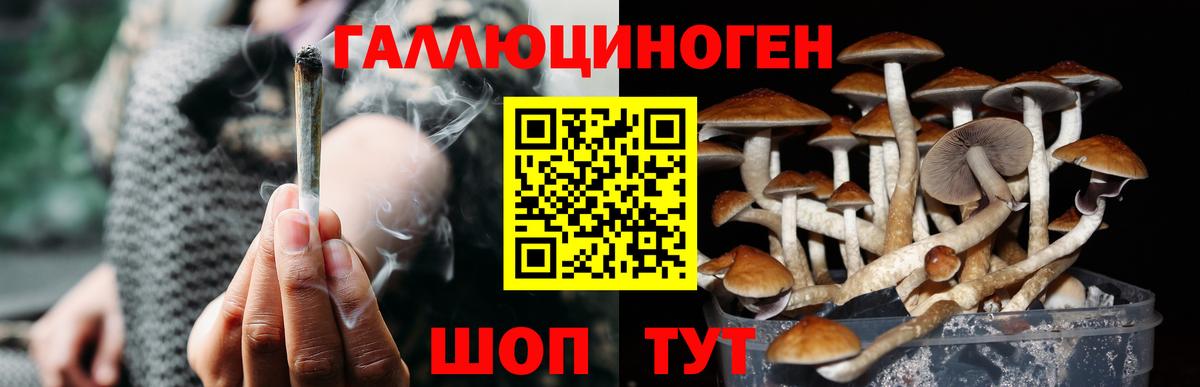 Псилоцибиновые грибы мицелий  Вход с VPN  где продают наркотики  Уварово 